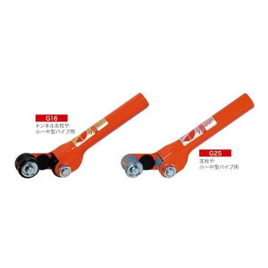 pCvnh G25 G-25 TG[ DZ