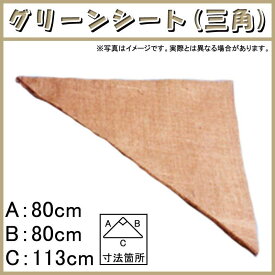 900枚 グリーンシート 三角 80 80cm × 80cm × 113cm 早S 代引不可