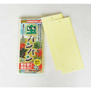 oo S ߒV[g 20 ̂oGߒ Qߒ ͔̂| LmR͔| ̂ ő S s