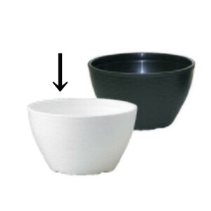 {[v^[ B-24  a24cm 42 | 񂹐A  v^[ C G s