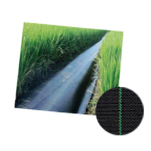 TO C[W[V[g hV[g  2.0×100m h V[g Gh~ G΍ C G lzts kCs s