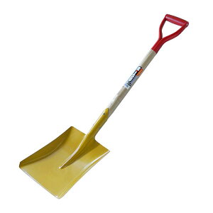 pXRbv ؕ X RISU Vx p^ XRbv Ⴉ  | K[fjO _ aY H