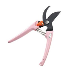 fB[X  sN No.1201-P   ͂ nT~  y | K[fjO T{e JSD