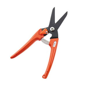 fB[X X  IW No.1211-O   ͂ nT~  y | K[fjO T{e JSD