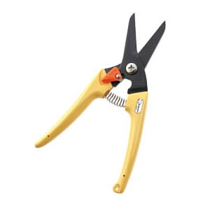 fB[X X  CG[ No.1211-Y   ͂ nT~  y | K[fjO T{e JSD