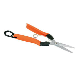  No.AG-8 n ؂  ͂ nT~ | K[fjO _ ֎q g}g イ T{e JSD