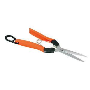  O No.AG-9 n ؂  ͂ nT~ | K[fjO _ ֎q g}g イ T{e JSD