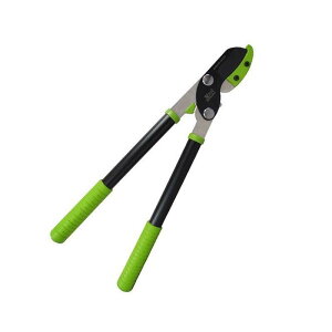 UNg } ֐n} Ar^Cv ANG-500 AbvO[ 1203 Oz OyD