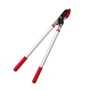 UNg } ֐n} Ar^Cv ANG-650 [Ybh 1204 Oz OyD