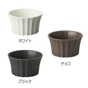 10 LP5 ی^ a15×8.2cm t[x[X t[AWg |bg Ԋ K s