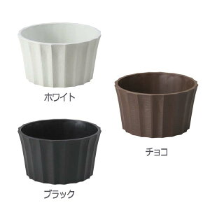 10 LP6 ی^ a18×10.2cm t[x[X t[AWg |bg Ԋ K s