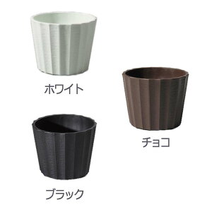 10 sG[K 4 ی^ AWp a12×9.5cm t[x[X t[AWg |bg Ԋ K s