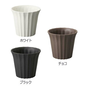 10 sG[K 5 ی^ AWp a15×13.3cm t[x[X t[AWg |bg Ԋ K s