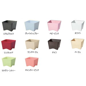 10 FF-low 10.5×7.5cm t[x[X t[AWg |bg ԕr Ԋ K s