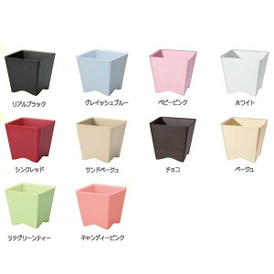 10 FF-tall 11.5×10.7cm t[x[X t[AWg |bg ԕr Ԋ K s