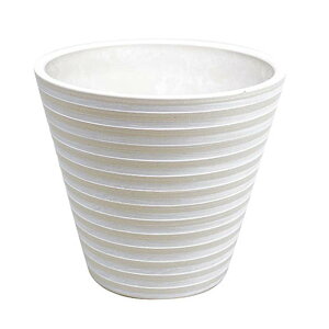 10 sGt 5N O zCg a15×13.5cm t[x[X t[AWg |bg Ԋ {莆 K s