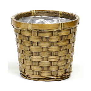 ЍL ou[ _ 4 a15.5×14cm 203-40D  JS oXPbg t[x[X | ԍ K s