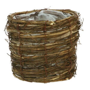 8  oXPbg 13-272 TuE 3 a11×10cm t[x[X JS  ԍ K s