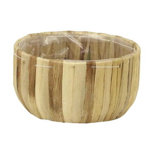 6 EA-300/S i` a15×8cm t[x[X  JS  oXPbg ԍ K s