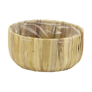 6 EA-300/L i` a17×8cm t[x[X  JS  oXPbg ԍ K s