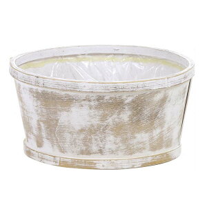 AeB[NEbfB  薳 M 745-203W a18×9cm t[x[X  JS  oXPbg Ԋ ԍ K s