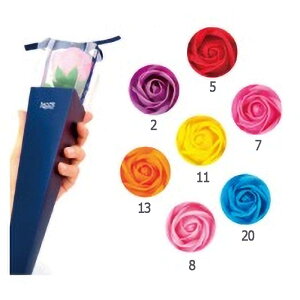 6{ P[u[P 76785 \[vt[ ΂ Ό \[v Mtg v[g  G K s