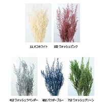 楽天市場】ソフトストーベの通販