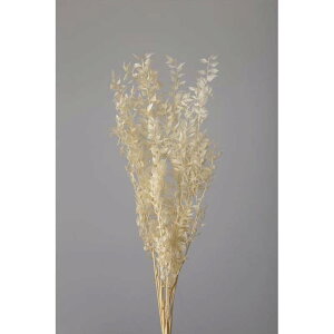 XJXEvU[uh ItzCg 76-3560-11 vU[uht[ vU[uh[t ԍ n_ K s