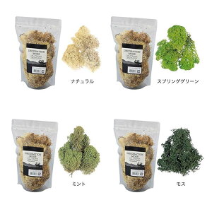 CfBAX ܓ 100g 165-9  RP vU[uh hC t[AWg ԍ K s