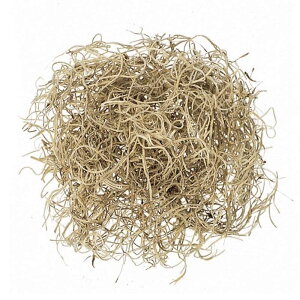 XpjbVX  i` 50g 76-61061-0  RP t[AWg ԍ K s