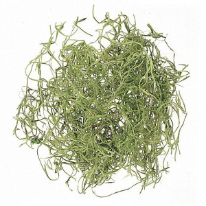 XpjbVX  O[ 50g 76-61061-700  RP t[AWg ԍ K s