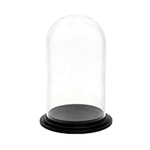 PC dome 937-002-000 a21.5×32cm s[V[Eh[ t[x[X Ԋ R|[g |J[{l[g ԍ K s