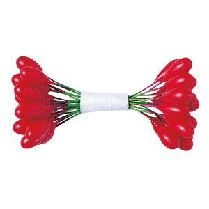 ybv Ԏ 54-120-7 #120-7 72{ t[ybv Ԑc Ntg t[AW | ԍ K s