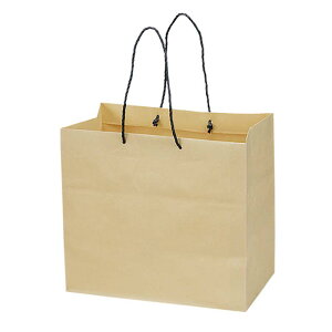 10�� �y�[�p�[�o�b�O BM 162-68730-0 ���� ��񂰑� �M�t�g �� �ԍ� �Ԏ��� ��K ����s��