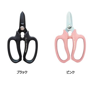 t[Xg  fbNX MF-9000 nT~ ͂  |  t[AWg Ԏ ߐ { KD