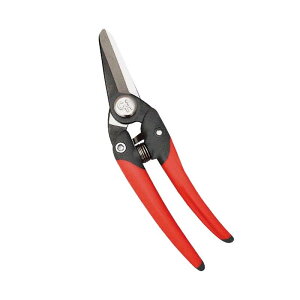 O[2000 JP-2000 nT~ ͂  | t[AWg Ԏ ߐ { KD