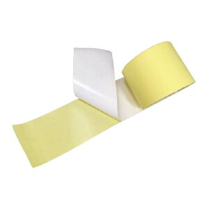 sJe[v 6  100mm×10m hV[g ՔM 򐻖 lzs s