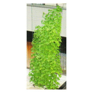 12Zbg ΂̃J[e 5m݉ Ch1800 180cm×5m O[J[e  悯 VF[h rj[ TD