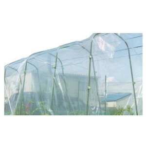 20 ؉p J悯V[g 0.05mm×3.0m×5m J V[g | rj[ TD