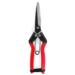  210mm No.SR-004  ͂  K[fjO |  ŃMl OyD