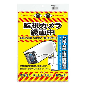 �y6/1�`�ő�100%P�o�b�N���I�ŗv�G���g���[�z���ړI�Ŕ� �J���� 210×297mm No.K-013 �h�� �h�� �x�� ���� �Ŕ� ���ŃM���l �O�yD