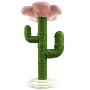 ܂Ƃ^[ T{e t[ ܂Ƃpi Lpi ybgpi CeA ybgAC I[V} s