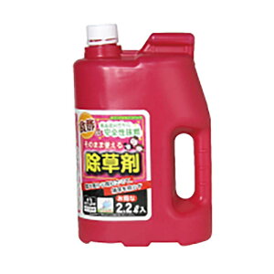 8{ ̂܂܎gH|̏ 2.2bg  | GRe G΍ [LY s