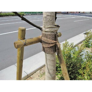 Ήe[v #250 25cm×10m 8 e[v XMe[v ی RRV@ 򐻖 lzs s