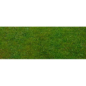  2kg `[COtFXN J-5 c S s