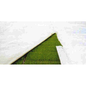 cp nC}bg 210cm×50m ᔭA |G`V[g  c ۉ MKVAhoX J{ lzs s