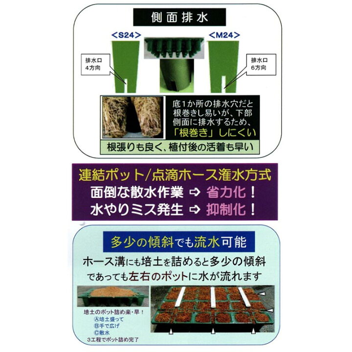 20520円 欲しいの 連結ポット 育苗用 25個入 24穴 S24 520×350×100mm ランナー採り用 いちご炭疽病対策 セリエ 個人宅配送不可 代引不可 20520円 欲しいの 連結ポット 育苗用 25個入 24穴 S24 520×350×100mm ランナー採り用 いちご炭疽病対策 セリエ 個人宅配送不可 代引不可
