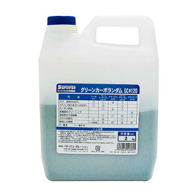 サンドブラスタ用 研磨剤 グリーンカーボンアランダム 2kg GC#120 炭化ケイ素 サンドブラスタ SB-07 用 パオック H