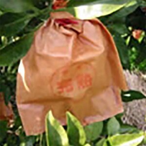 2500 ʎ ݂琬 NJԓd 15^ 168×200mm ݂ ~J  ^SD