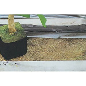 j`J uV[g hp #20704 FLD 0.20mm 200cm 100m sDz J{ lzs s